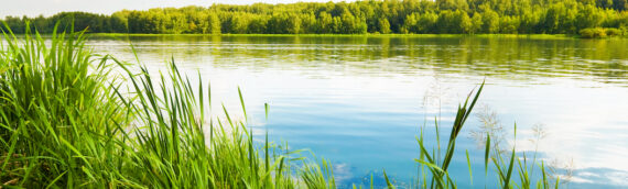 CCRC Takes Critical Steps for Reservoir Project Completion