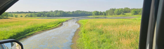 Dry Spring Raises Osceola Water Concerns