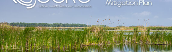 CCRC Embarks on Development of Compensatory Wetlands Mitigation Plan