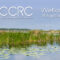 CCRC Embarks on Development of Compensatory Wetlands Mitigation Plan