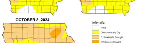 Abnormally Dry Conditions Persist for Osceola