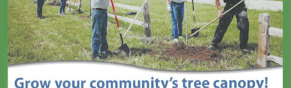 SPECIAL COMMUNITY WORKSHOP – Grow Your Community’s Tree Canopy